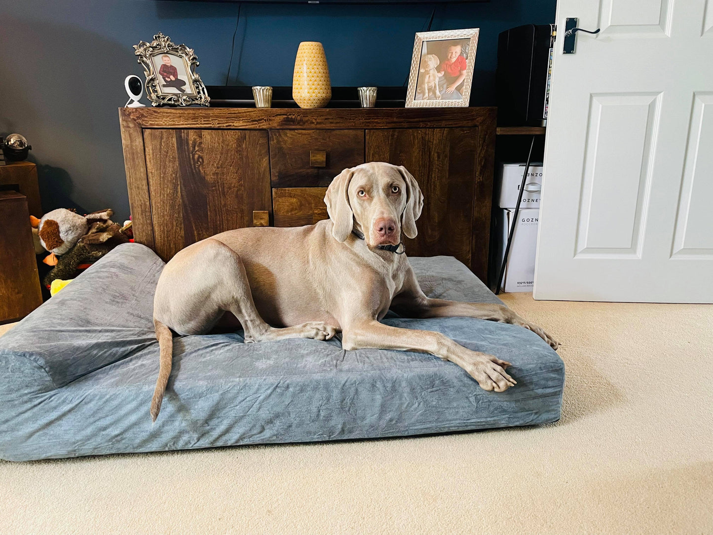Bolster Pillow Orthopaedic Dog Bed