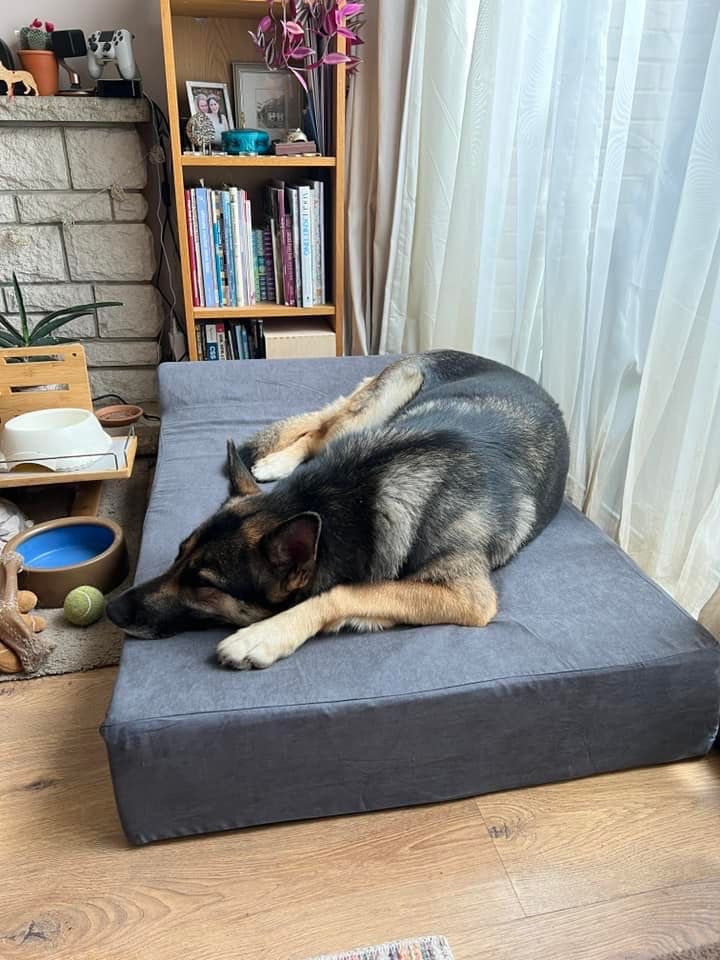 Bolster Pillow Orthopaedic Dog Bed